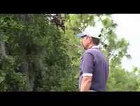 Jackass- Golf course airhorn