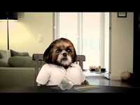 O Programa do Aleixo Temporada 2 _ Episodio 5