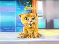 Resposta a Musica atirei o Pau no Gato ! Videos engraçados para rir  Original