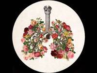 Vlad Caia - Projections