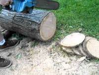 Homelite Zip Chainsaw Cut