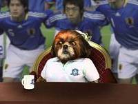 Japão - Grupo C - Copa Aleixo