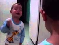 Os mais inteligentes do mundo