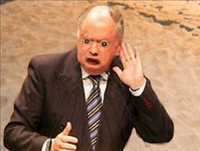 Os percevejos fedorentos do Porto Santo