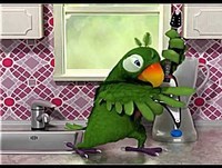 Papagaio Rockeiro toca Musica ( Engine Fire )  Videos engraçados para rir