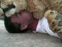 QUE COCHILO BOM - VIDEOS HD 2013