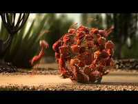 Trabalho em equipe com humor