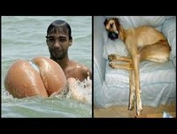 Videos engraçados - Melhores videos engraçados 2014 Animais Tombos Bebes engraçados 2014 para rir