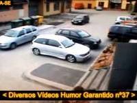 Diversos Vídeos Humor Garantido nº37