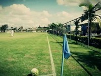 Encontro com os Ídolos Eternos - Toca da Raposa II