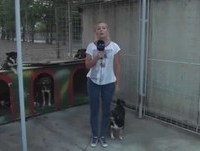 Fails of the Week 2 October 2013