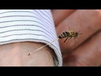 FAlL/WlN COMPlLATlON SEPTEMBER 2013 OF FUNNY VIDEOS