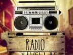 Radio Favellas - Shayla Kaballah ( Vídeo de divulgação do EP MiniSystem)