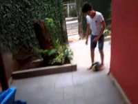 sou  jogador de futebol