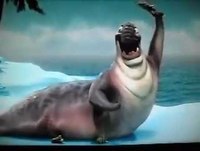 Vídeo engraçado de Animais