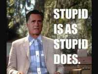 You Can't Fix Stupid