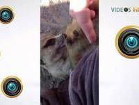 ASSIM VOCÊ ME MATA DE TANTO RIR - VIDEOS HD 2013