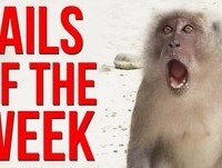 Best Fails of the Week 4 January 2015 || FailArmy