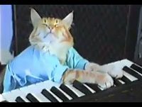 Charlie Schmidt's Keyboard Cat! - THE ORIGINAL!