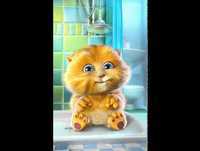 Gatinho falante educado |  Videos engraçados para rir