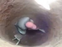 Remix BURACO FEDORENTO