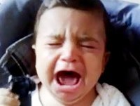 Videos Engraçados Para Morrer De Rir