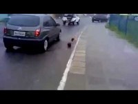 Vídeos Whatsapp - Tobogã de Pobre!