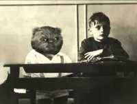 Bruno Aleixo Na Escola 04  A Profissão