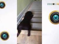 DESCER ESCADA ASSIM É MAIS GOSTOSO - VIDEOS HD 2013