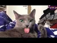 FAILS 2014-2015 720HD