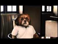 O Programa do Aleixo Temporada 1 Episódio 1