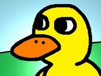 The Duck Song
