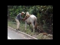 Whatsapp vídeos Engraçados