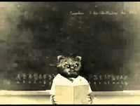 Bruno Aleixo Na Escola 03  O Outono