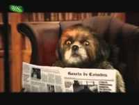 CA BURRO - Bruno Aleixo