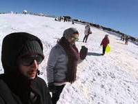 Cromos no prato - Serra da Estrela.