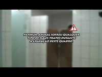 Panico na tv 22/11/2009 O Mijo e o Bicho mas o que é isso Credo!