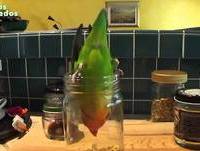 Animais que roubam o alimento - Animais engraçados tentar chegar Food Compilation 2014