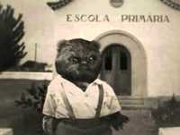 Episódio 12: Aleixo na Escola - O Espírito