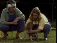 Prisoner Cell Block H gaffes - part 11