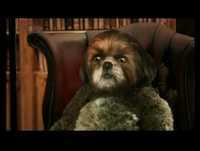 O Programa Do Aleixo 01 parte 1-3