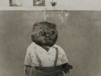 Aleixo na Escola - Ep. 10 - A Queixa