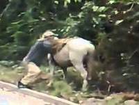 Cinco idiotiçes Para Morrer De Rir