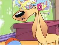 Escola pra Cachorro - Biscoitinhos Fedorentos