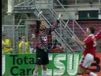 Frangos e Gols Estúpidos - Botoja News