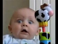 Videos graciosos de bebés.