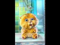 vídeos para o whatsapp - Eu não existo longe de você Gatinho