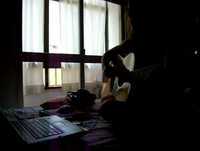 Your house alanis morissette acoustic cover