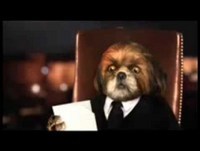 Bruno Aleixo   Aleixo FM 1