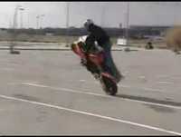 Crazy corrida   Turboturtle